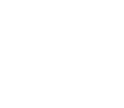 Logo SNPI